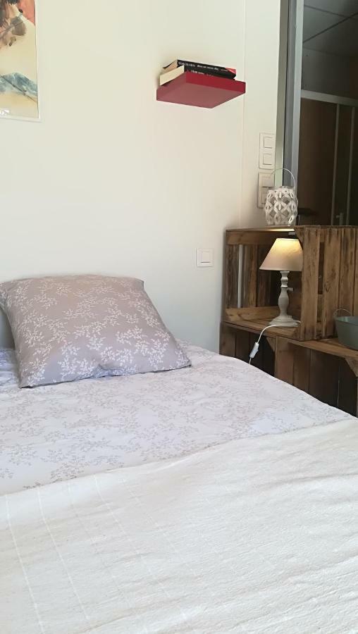 Gites, Chambres D'Hotes La Maison D'Amis ピュイルボロー エクステリア 写真